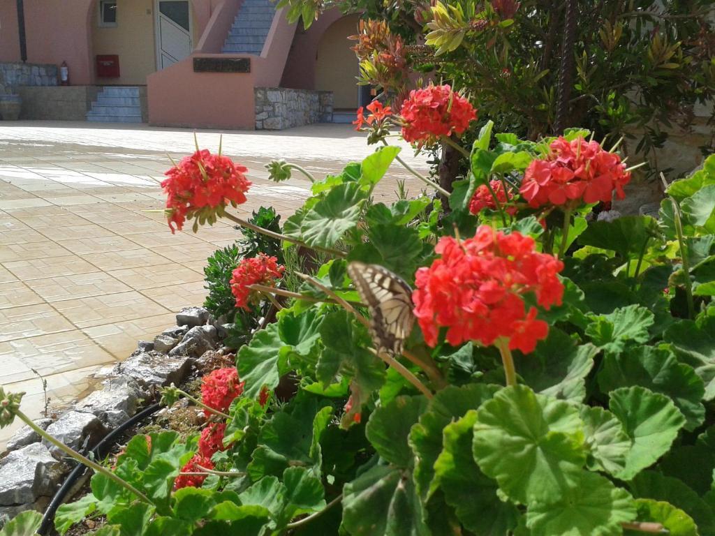 Kallicrates Village Frangokastello Exterior foto
